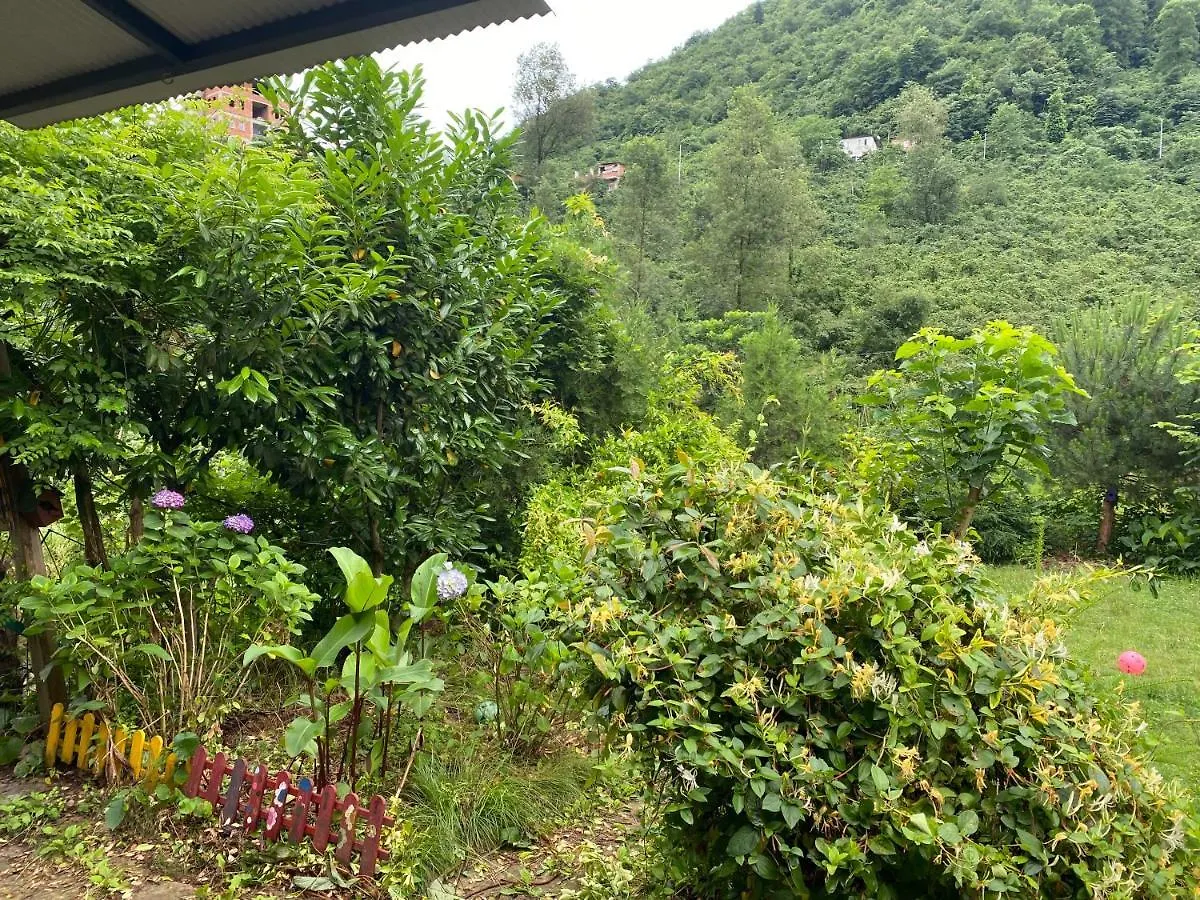 Doga Villa يومرا