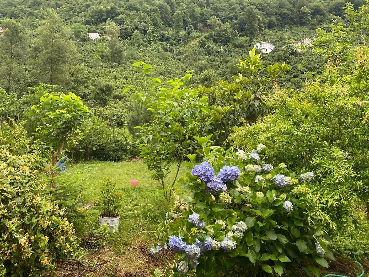 Doga Villa Yomra