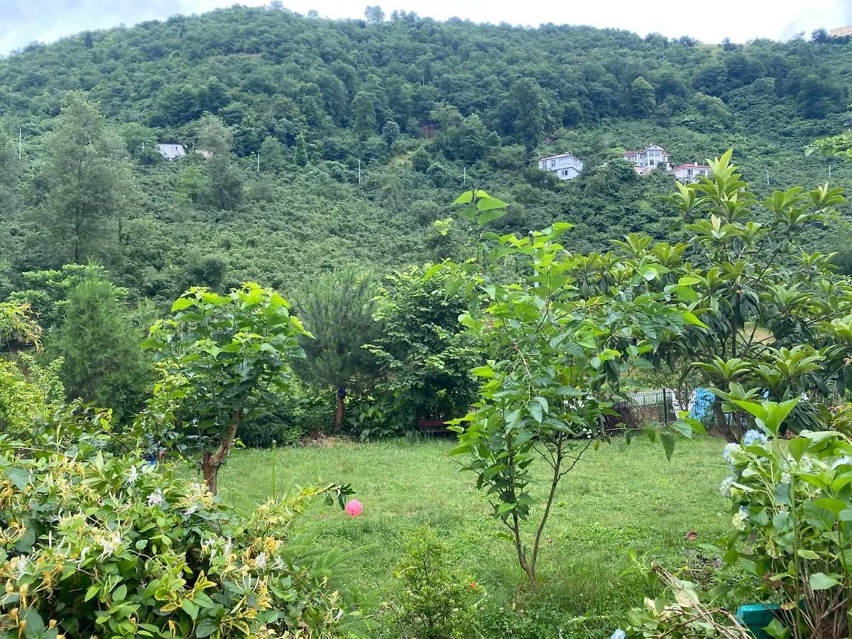 Doga Villa Yomra 0*,