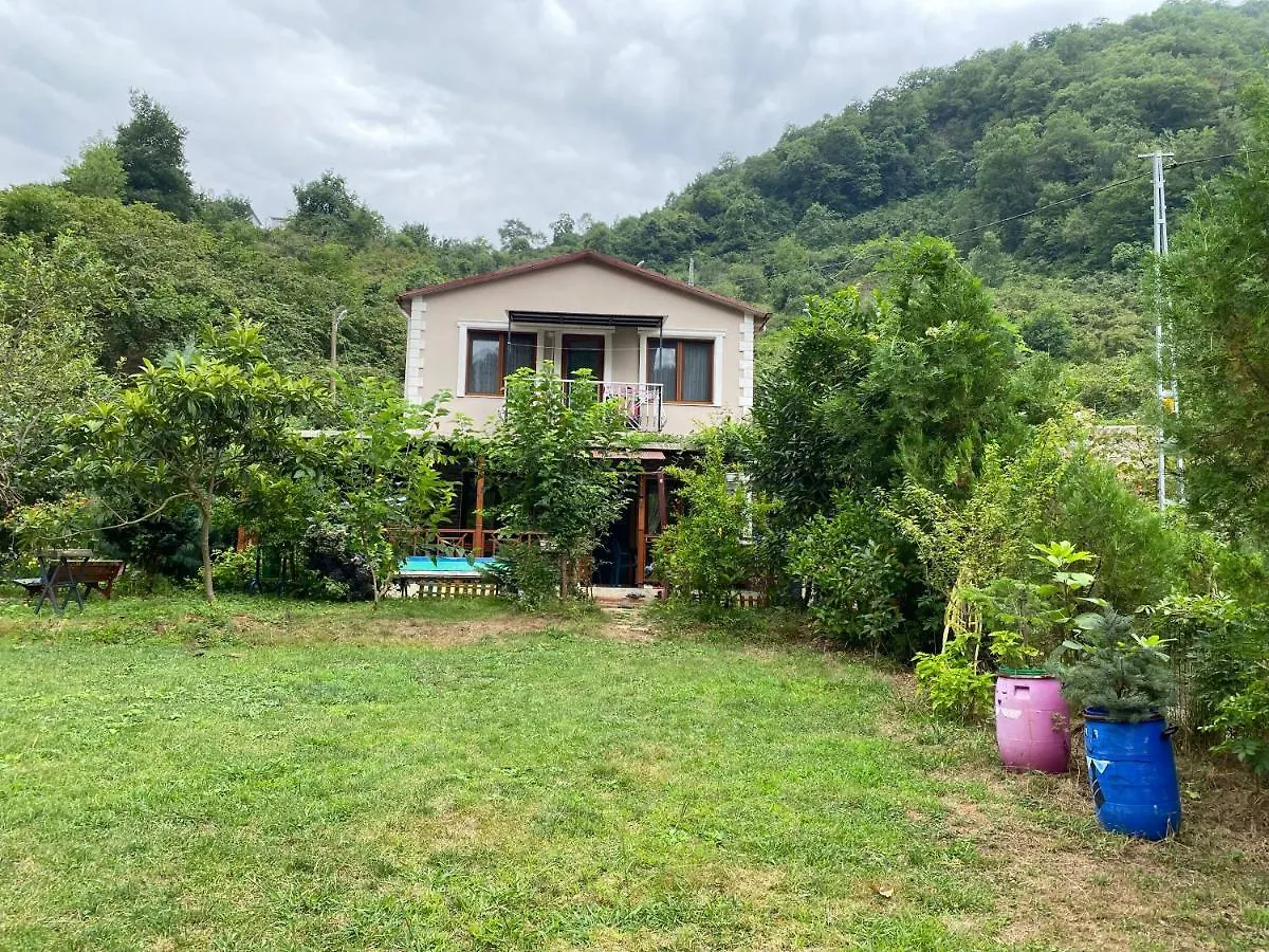 Doga Villa Yomra